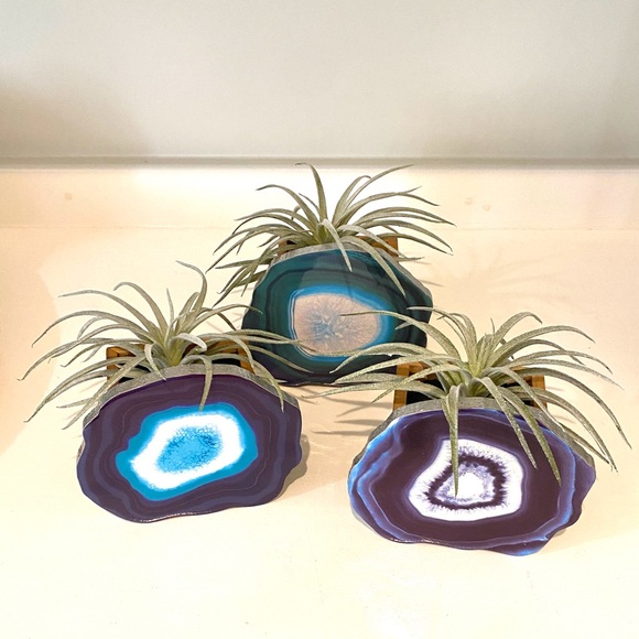 Other - Home decor with artificial plant